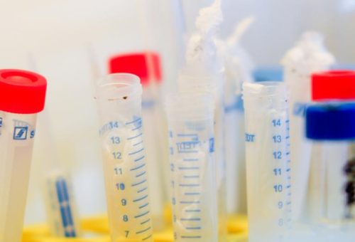 Almanya’da Moleküler Biyoloji ve Genetik