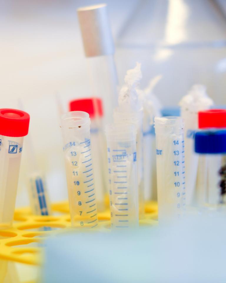 Almanya’da Moleküler Biyoloji ve Genetik